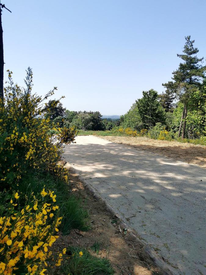Chez Marius Βίλα Saint-Agrève Εξωτερικό φωτογραφία